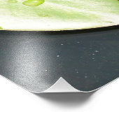 Impression Photo Harmonie (Coin)