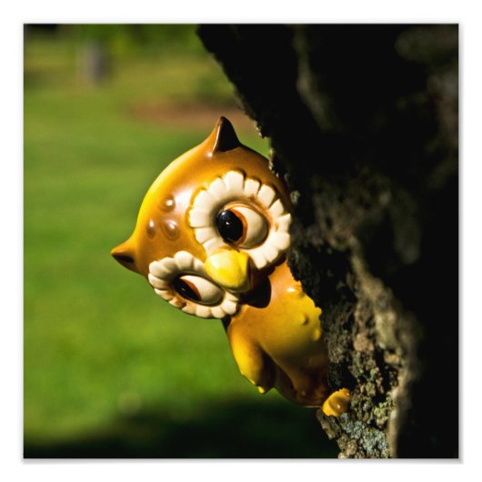 Impression Photo Harvey le hibou II (Devant)