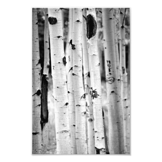 Impression Photo Haut Aspen (Devant)