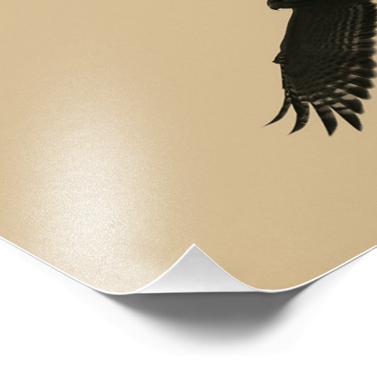 Impression Photo Hawk en vol (Coin)