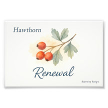 Hawthorn — Renewal