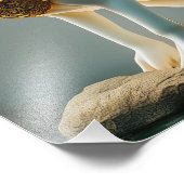 Impression Photo HEA MOTU Hare Island Continental Être Lemuria (Coin)