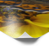 Impression Photo Hélénium de marguerite jaune (Coin)