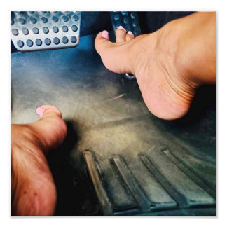 Impression Photo Hellcat rose