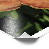 Impression Photo Hemerocallis 19"x13" (Coin)