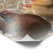 Impression photo Hen Party (Coin)