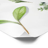 Impression Photo Herbarium Feuille vert (Coin)