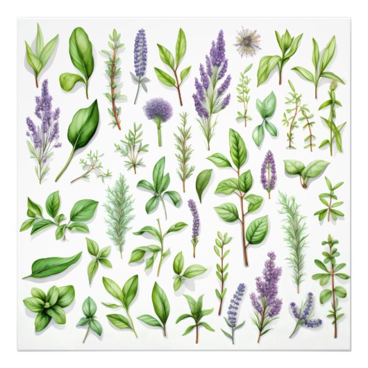 Impression Photo Herbes pourpres et vertes (Devant)