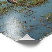 Impression Photo Heron 6937 (Coin)