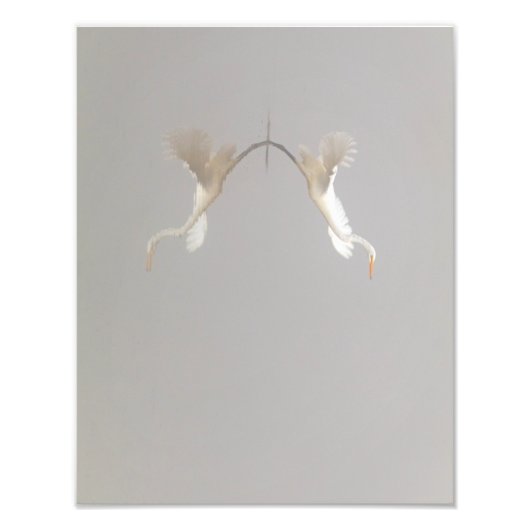 Impression Photo Héron blanc décolle Zen (Devant)