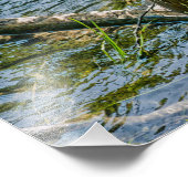 Impression Photo Héron de nuit jv (Coin)