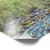 Impression Photo Heron P6450 (Coin)