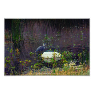 Impression Photo Heron P9687