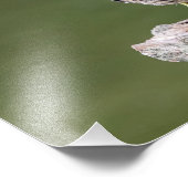 Impression Photo Héron vert 14x11 sur un log (Coin)