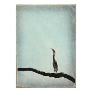 Impression Photo Heron vert d'inspiration vintage sur ciel bleu pâ