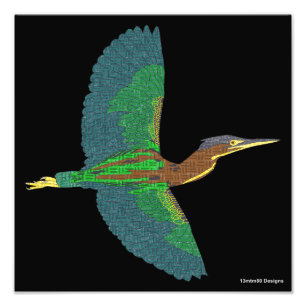 Impression photo - Heron vert (noir)