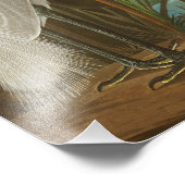 Impression Photo Heron violet par John James Audubon (Coin)