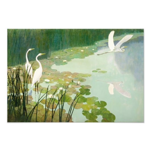 Impression Photo Hérons en été par Newell Convers Wyeth (Devant)