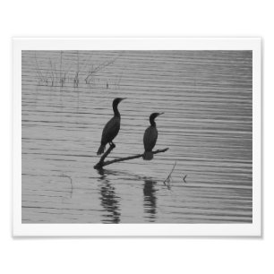 Impression Photo Heureux ensemble