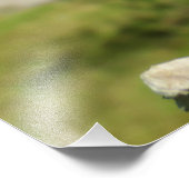 Impression Photo Hibiscus (Coin)