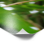 Impression Photo Hibiscus (Coin)