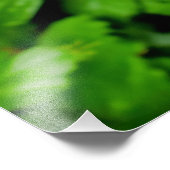 Impression Photo Hibiscus (Coin)