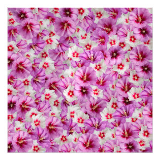Impression Photo Hibiscus