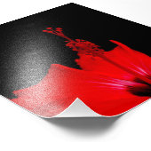 Impression Photo Hibiscus rouge (Coin)