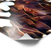 IMPRESSION PHOTO HIBOU (Coin)