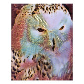 IMPRESSION PHOTO HIBOU (Devant)