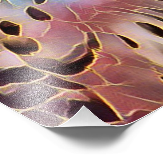 IMPRESSION PHOTO HIBOU (Coin)