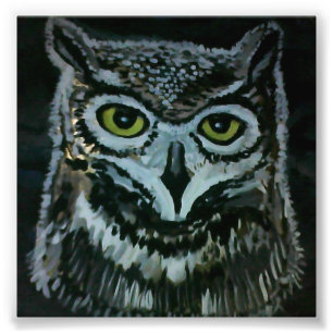 Impression Photo Hibou sage