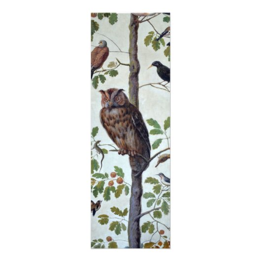 Impression Photo Hibou Vintage (Devant)