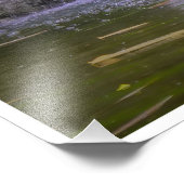 Impression Photo Hidden Garden Cascade (Coin)