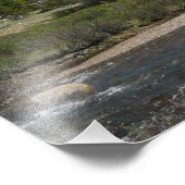 Impression Photo High Country Mountain Stream II à Yosemite (Coin)