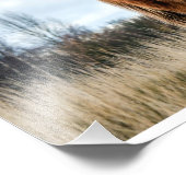 Impression Photo Highland Cow (Coin)