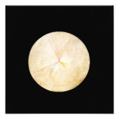 Impression Photo Hilma Af Klint, Le Swan No.14, Art Abstrait (Devant)