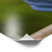 Impression Photo HipHop Drake Portrait Art Gnomis (Coin)