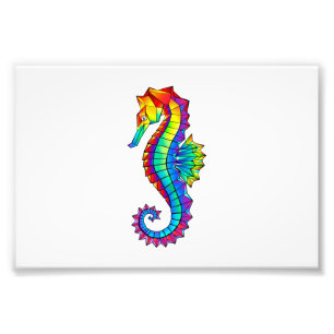 Impression Photo Hippocampe polygonal arc-en-ciel