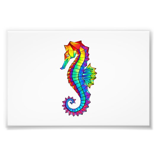 Impression Photo Hippocampe polygonal arc-en-ciel (Devant)