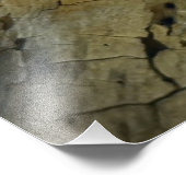 Impression Photo Hirondelle (Coin)