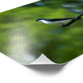 Impression Photo Hirondelle (Coin)