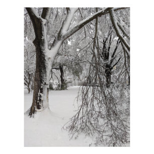 Impression Photo Hiver à Lafayette Carré, Washington, DC