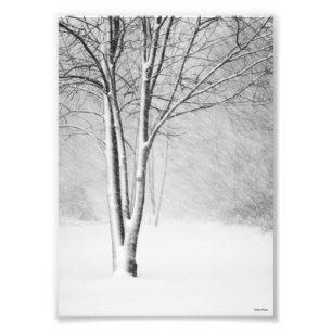 Impression Photo Hiver Blizzard Snowy Tree White-Out Abstrait
