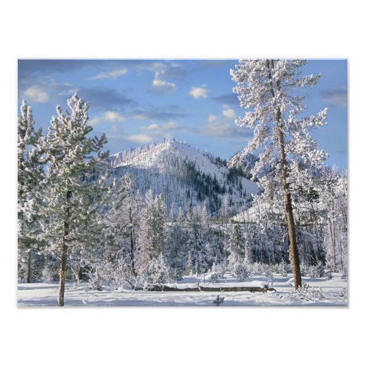 Impression Photo Hiver dans le parc national de Yellowstone, Wyomin (Devant)