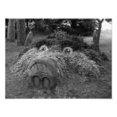 Impression Photo Hogs Head, Bute Park, Cardiff (Devant)