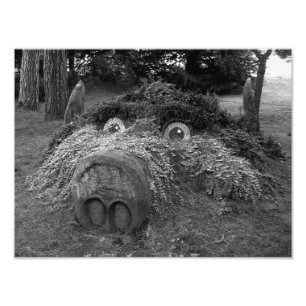 Impression Photo Hogs Head, Bute Park, Cardiff