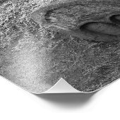 Impression Photo Hogs Head, Bute Park, Cardiff (Coin)