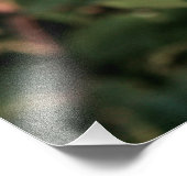 Impression Photo Holly Shrub (Coin)