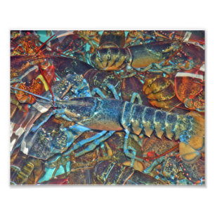 Impression Photo Homards en livre de homard, Maine
